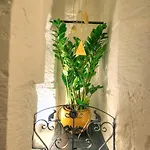 Apartament Modern & Luxurious Palazzino In Ddem1-2 *
